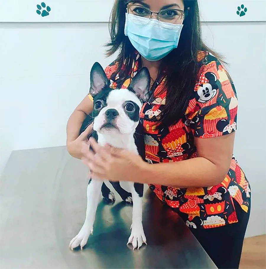 Grupo Veterinario Mascotiti mujer con mascota