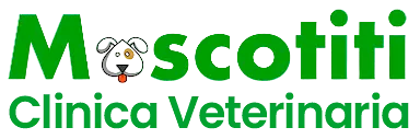 Grupo Veterinario Mascotiti logo